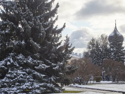 +5 градусов ожидается в Псковской области 13 марта