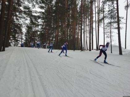 Этап Кубка Псковской области по лыжным гонкам прошел в Стругах Красных