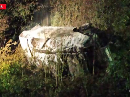 Водитель сгорел в перевернувшемся автомобиле между Дно и Филиппково