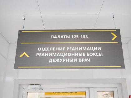 Самый распространенный штамм гриппа в Псковской области назвал Роспотребнадзор