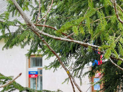 Итоговая явка на выборах главы Пустошкинского района превысила 40%