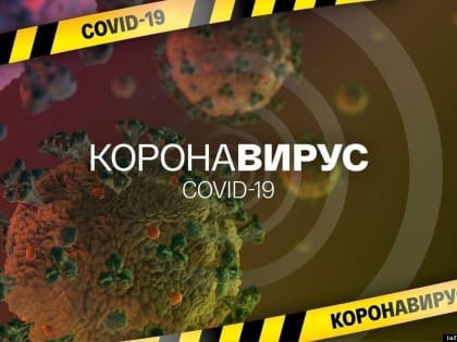 Еще 88 человек заразились COVID-19 за сутки в Псковской области