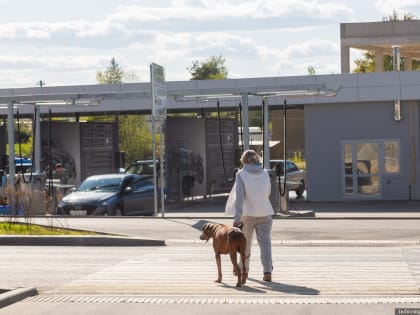 До +25 градусов ожидается в Псковской области 12 мая