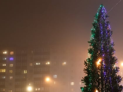 Дождь и туман прогнозируют в Псковской области 3 января