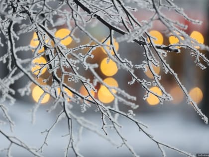 Васильев день наступил по народному календарю