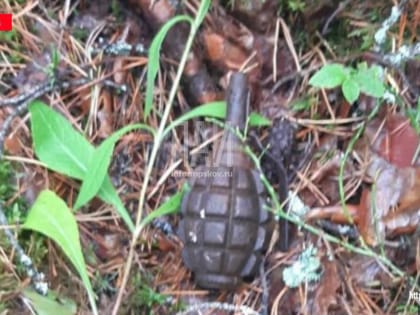 Гранату времён ВОВ нашли в Невельском районе