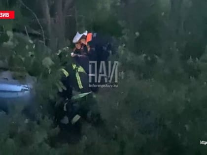 Пьяный водитель вылетел в кювет и оказался зажатым под собственным автомобилем в Псковском районе