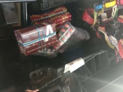 Псковские таможенники обнаружили в машине тайник с 2 килограммами таблеток