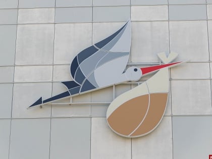 Четыре двойни появились на свет в Пскове в марте