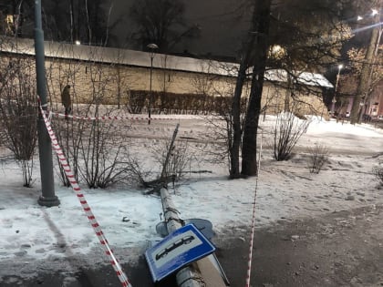 Столб упал на автобусной остановке в Пскове. ФОТО