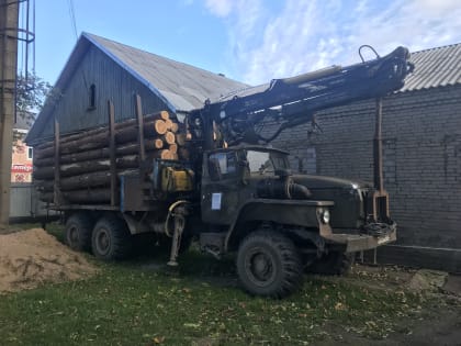 19 млн рублей заплатят государству за ущерб «чёрные лесорубы» из Псковской области