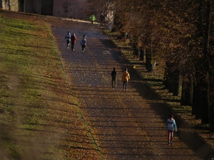 До +10 градусов прогреется воздух в Псковской области 5 ноября