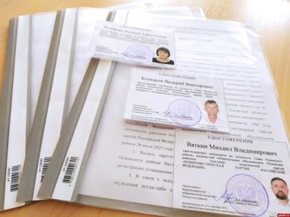 Троих кандидатов на выборы главы муниципалитета зарегистрировали в Псковском районе