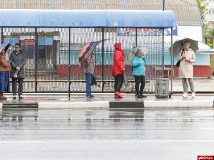 До +24 градусов прогреется воздух в Псковской области 28 июля