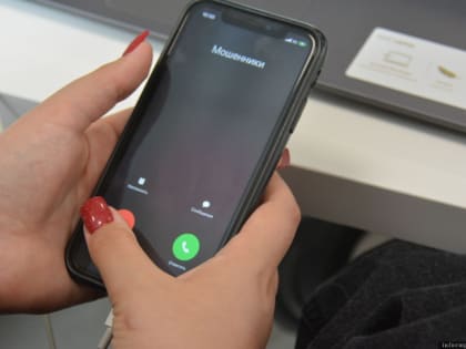 Мошенникам удалось получить доступ на «Госуслугах» к нескольким аккаунтам великолучан