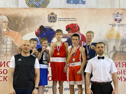 Псковичи привезли золото и серебро с региональных соревнований по боксу