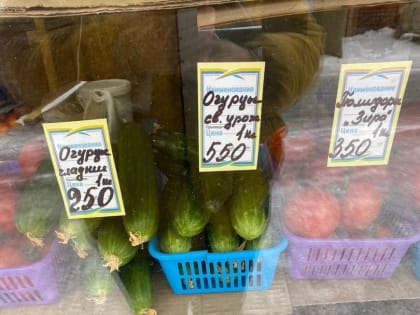«Огурцы дороже мяса»: цены на овощи возмутили жителей Пскова