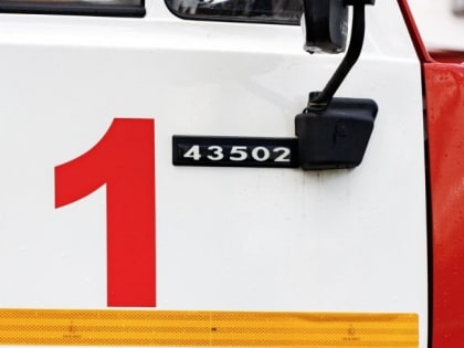 Грозовые разряды стали причиной трех пожаров в Псковской области