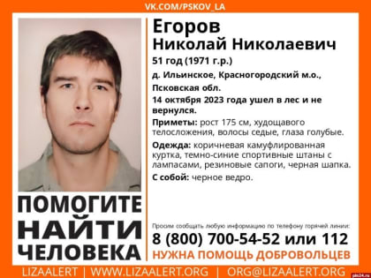 Грибник в штанах с лампасами пропал в красногородском лесу