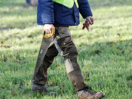 Россиянам рассказали о дачных работах в марте