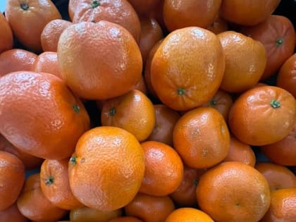 Россельхознадзор опроверг запрет на экспорт мандаринов из Абхазии