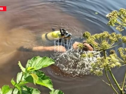 В реке Ловать обнаружено тело утонувшего мужчины