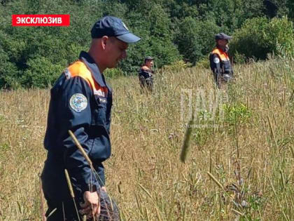 Продолжаются поиски потерявшегося мужчины в Гдовском районе