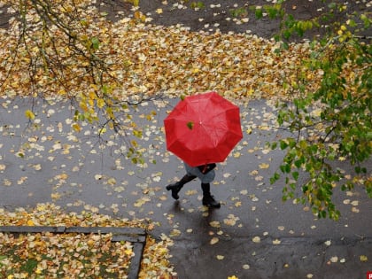До +10 градусов и дождь прогнозируют в Псковской области 5 ноября