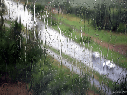 Ливни ожидаются на территории региона