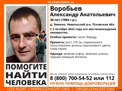 Пропавшего в октябре мужчину продолжают искать в Невельском районе
