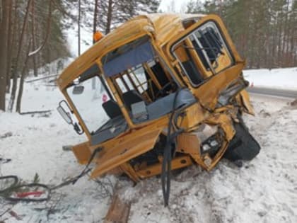 Трое детей находятся в реанимации после столкновения школьного автобуса и фуры в Псковской области