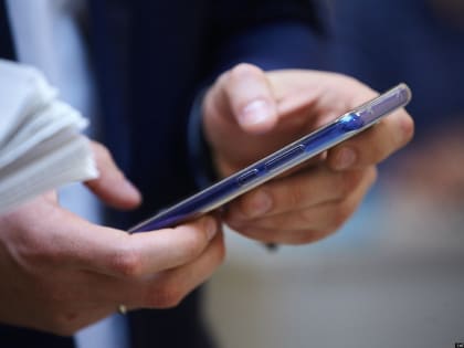 На выборах в России наибольшая явка на ДЭГ зафиксирована в Псковской области