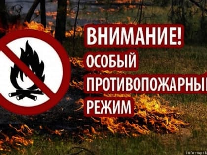 В Псковском и Гдовском районах вводится особый противопожарный режим