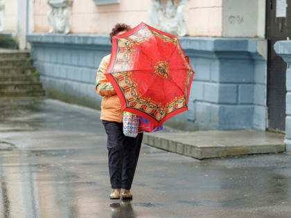 Дневные дожди прогнозируют в Псковской области 11 августа