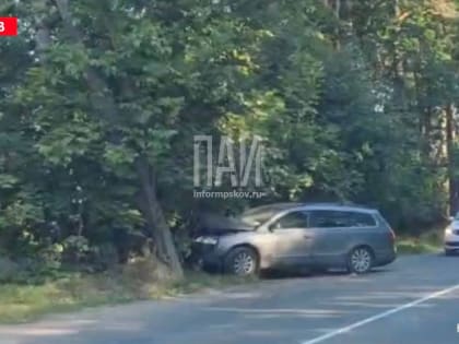 Два человека пострадали в результате наезда автомобиля на дерево в Пскове