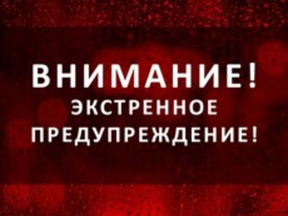 Экстренное предупреждение: В Псковской области ожидаются грозы, местами ливни