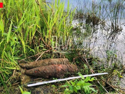 Снаряды времён ВОВ обнаружили в Пскове