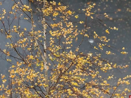 Синоптики о предстоящих осадках: Сильнее всего достанется Северо-Западу