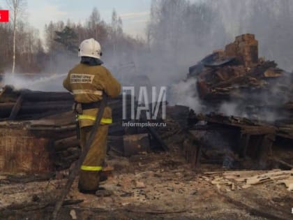 Два дома сгорели в Палкинском районе