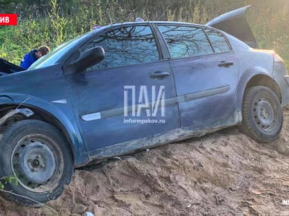 Пассажир погибла в результате ДТП в Плюсском районе Псковской области