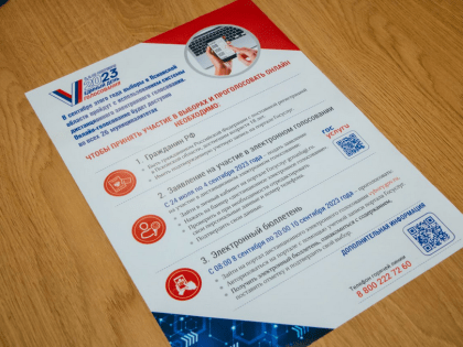 Специалист разъяснила механизм электронного голосования, которое будет доступно великолучанам на предстоящих выборах