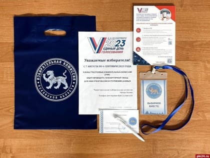 Маркеры сотрудника избиркома назвали псковичам в преддверии поквартирного обхода