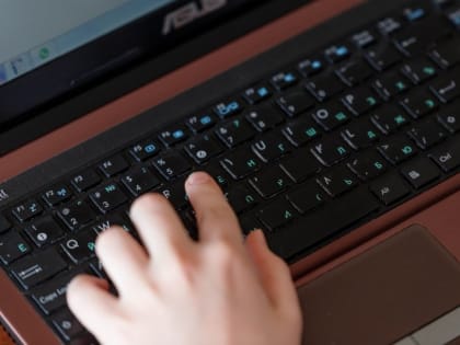 Почти вполовину увеличилась сумма онлайн-покупок на одного жителя Псковской области