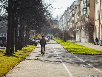 До +17 градусов прогнозируют синоптики в Псковской области 9 апреля