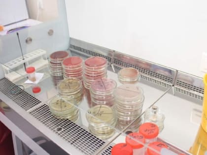 Современная бактериологическая лаборатория открылась в Великих Луках