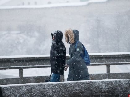 Кто чаще изучает несколько иностранных языков в Пскове, выяснили эксперты
