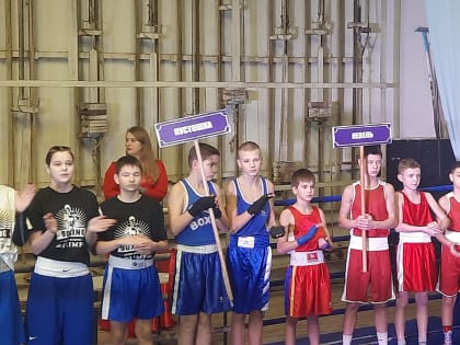 Первенство Псковской области по боксу стартовало в Пустошке