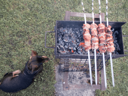 Шашлык на даче: противопожарные правила снова меняются с 1 марта