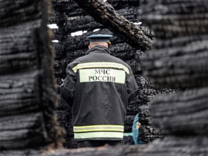 Жилой дом сгорел в дедовичской деревне