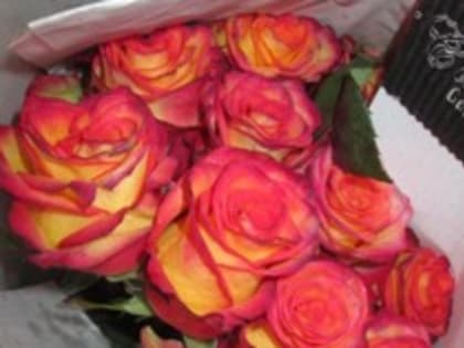 Опасных вредителей нашли псковские специалисты в розах из Литвы